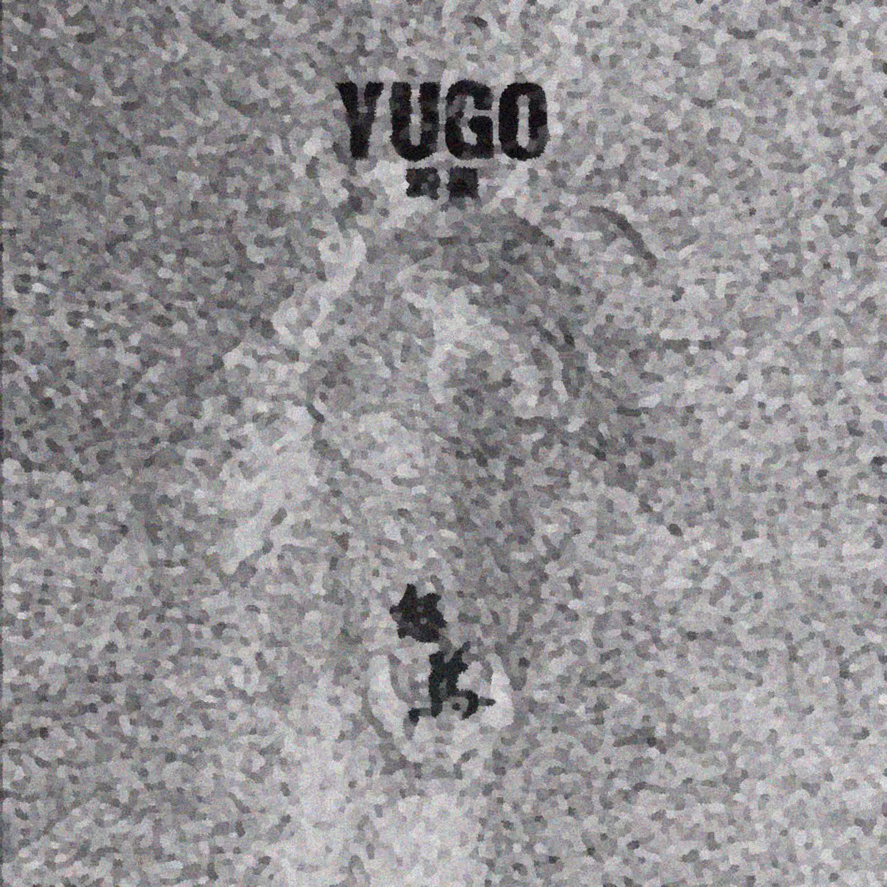 怒马 by 羽果 (2020)