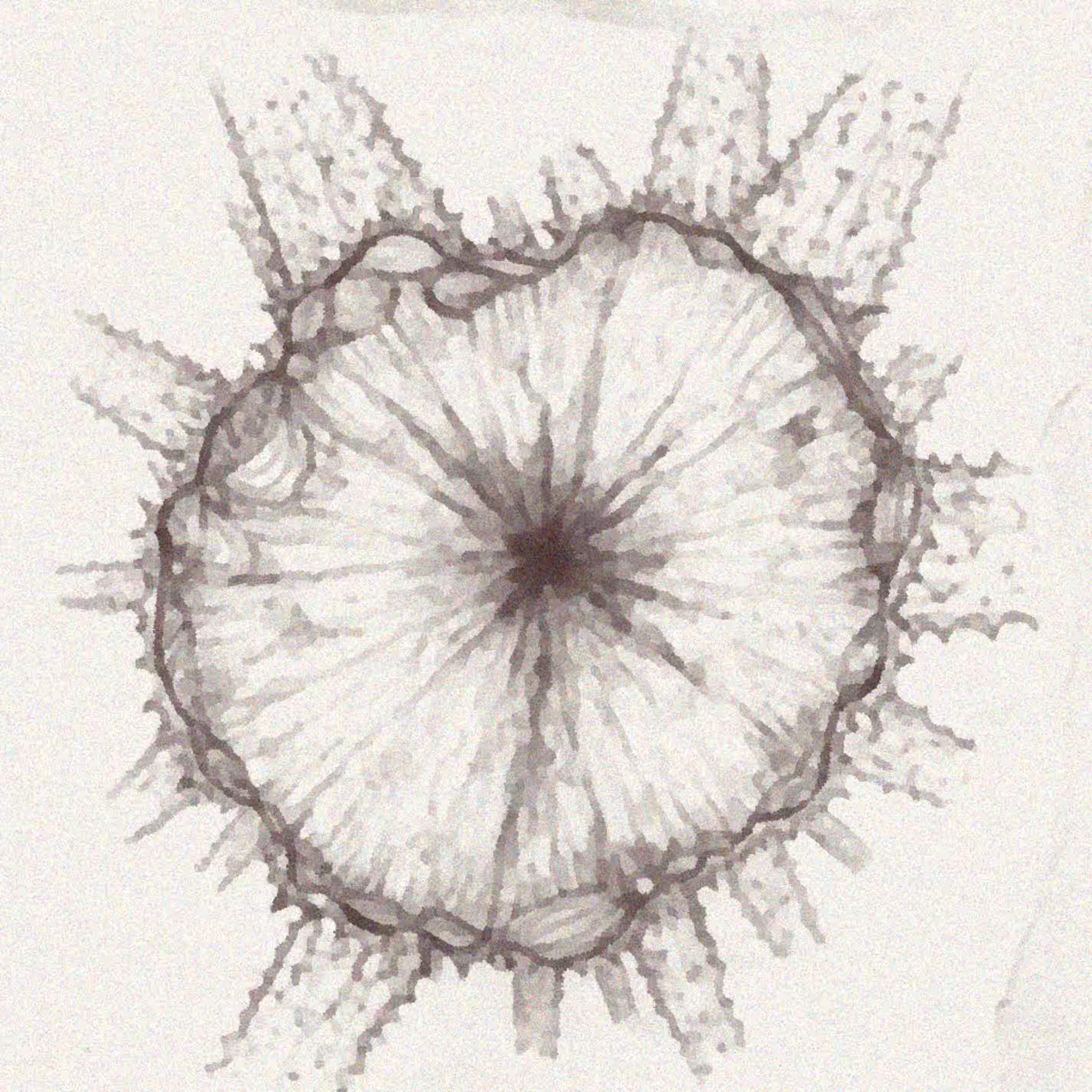 爱是唯一 by 爱是唯一 (2019)