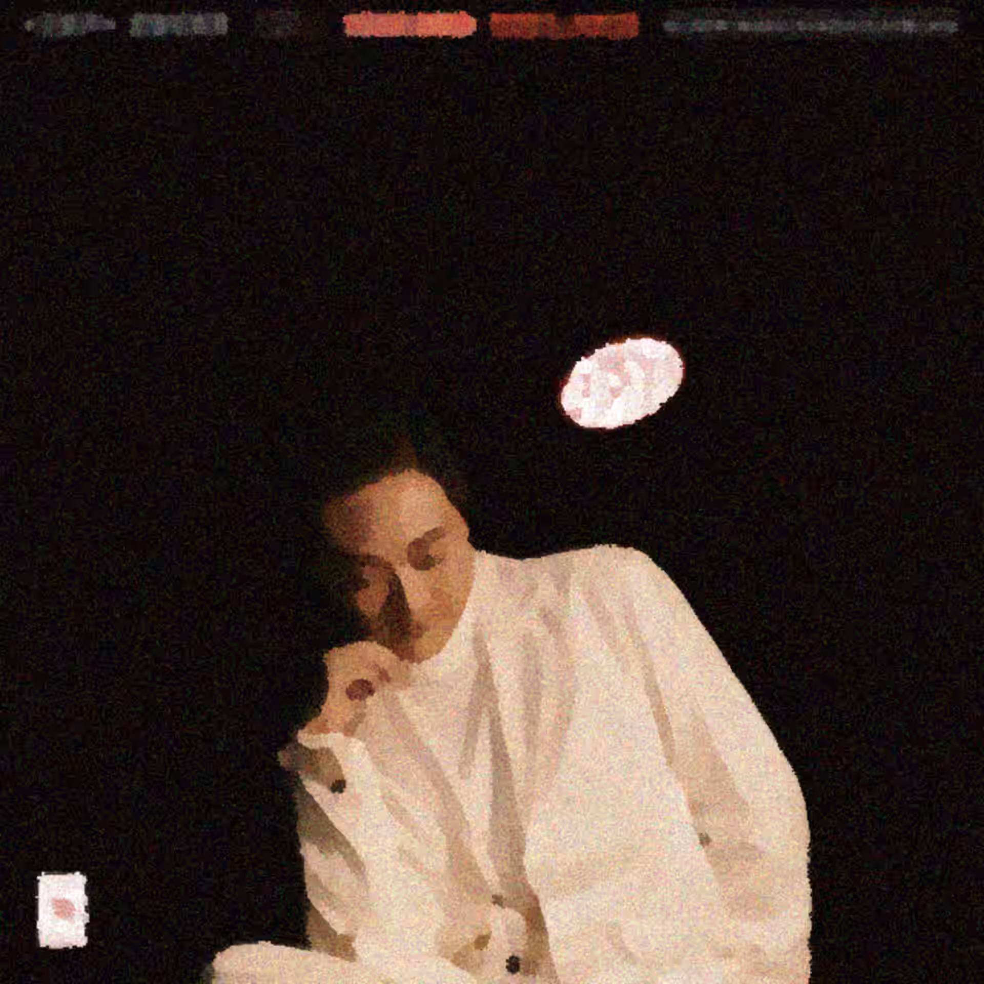 肥瘦音乐：全面体验 by 地磁卡 (2024)