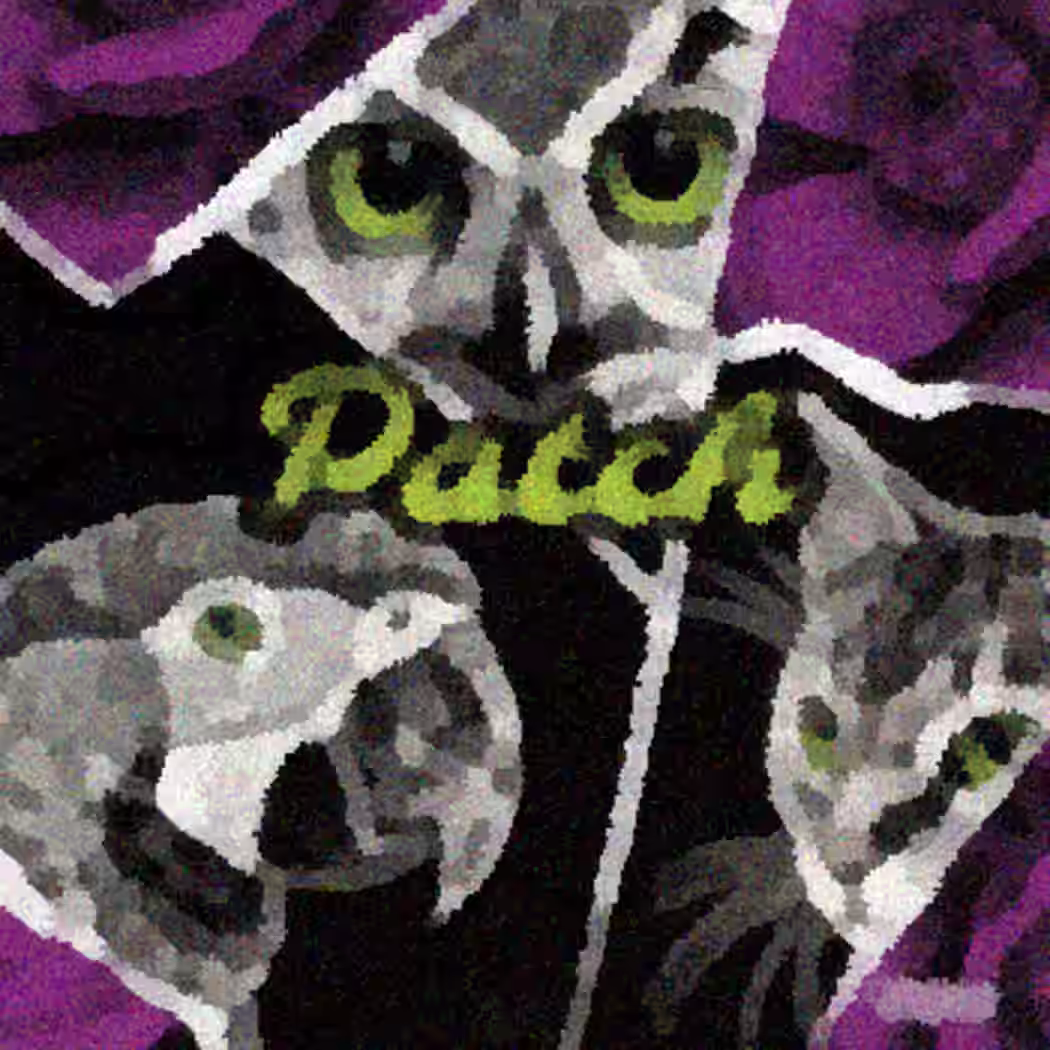 Patch by Fayzz (2025)