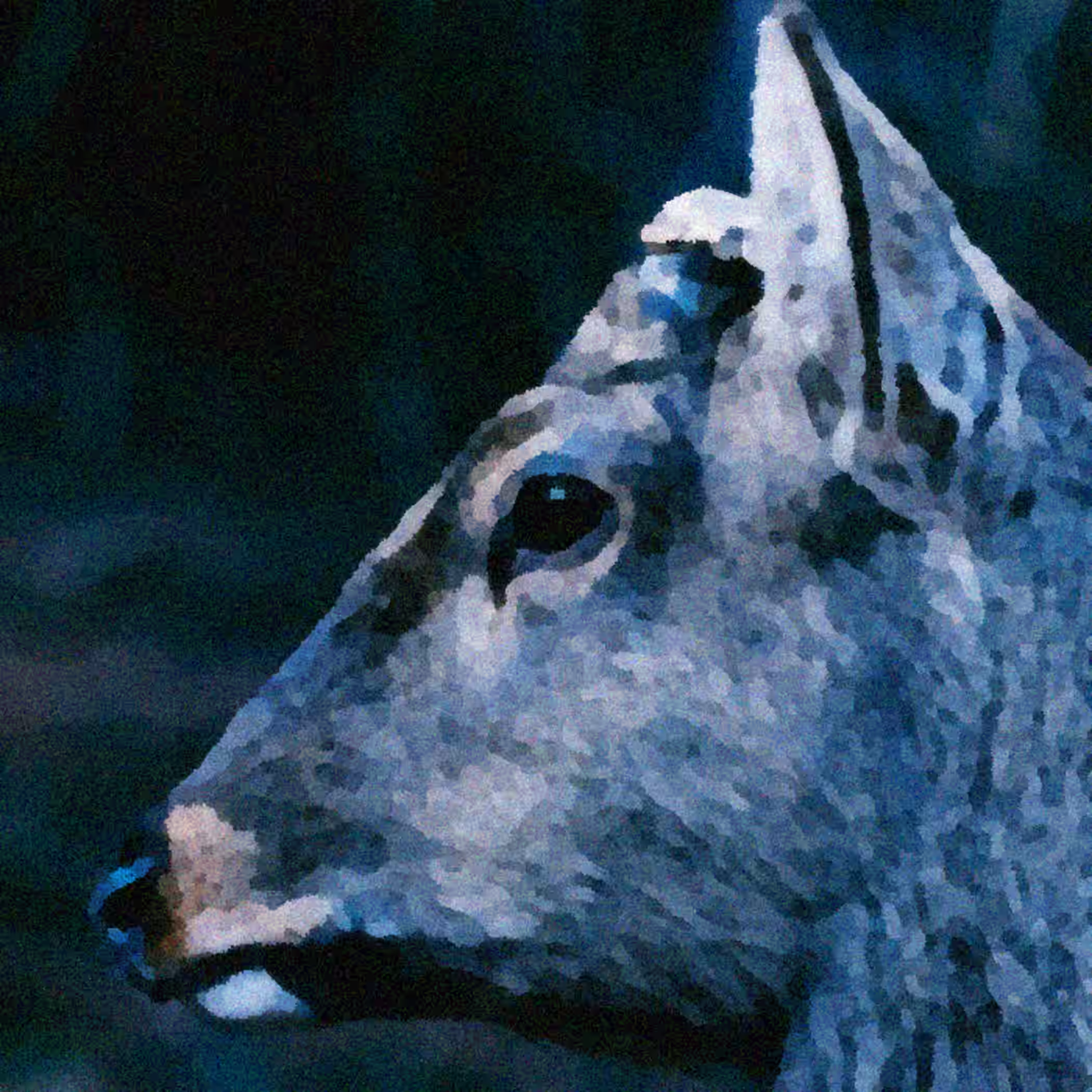 the book about my idle plot on a vague anxiety by toe (2005)