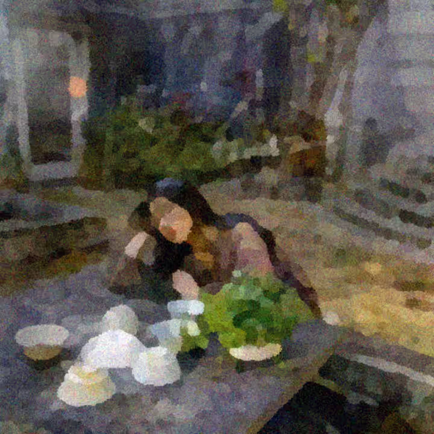 慢花志 by 陈以诺 (2025)