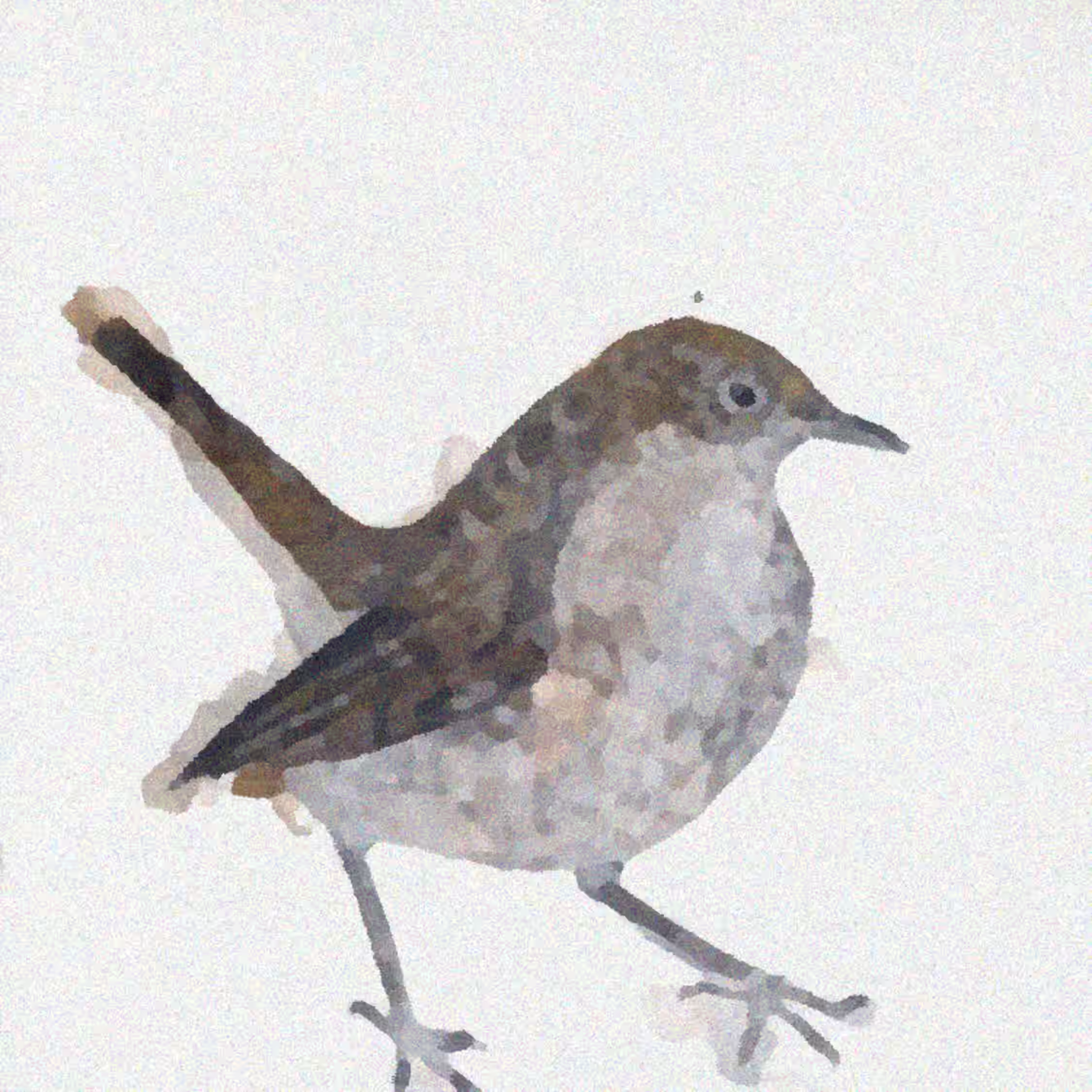 Nightingale Wake Up Calls by Cosmo Sheldrake (2020)