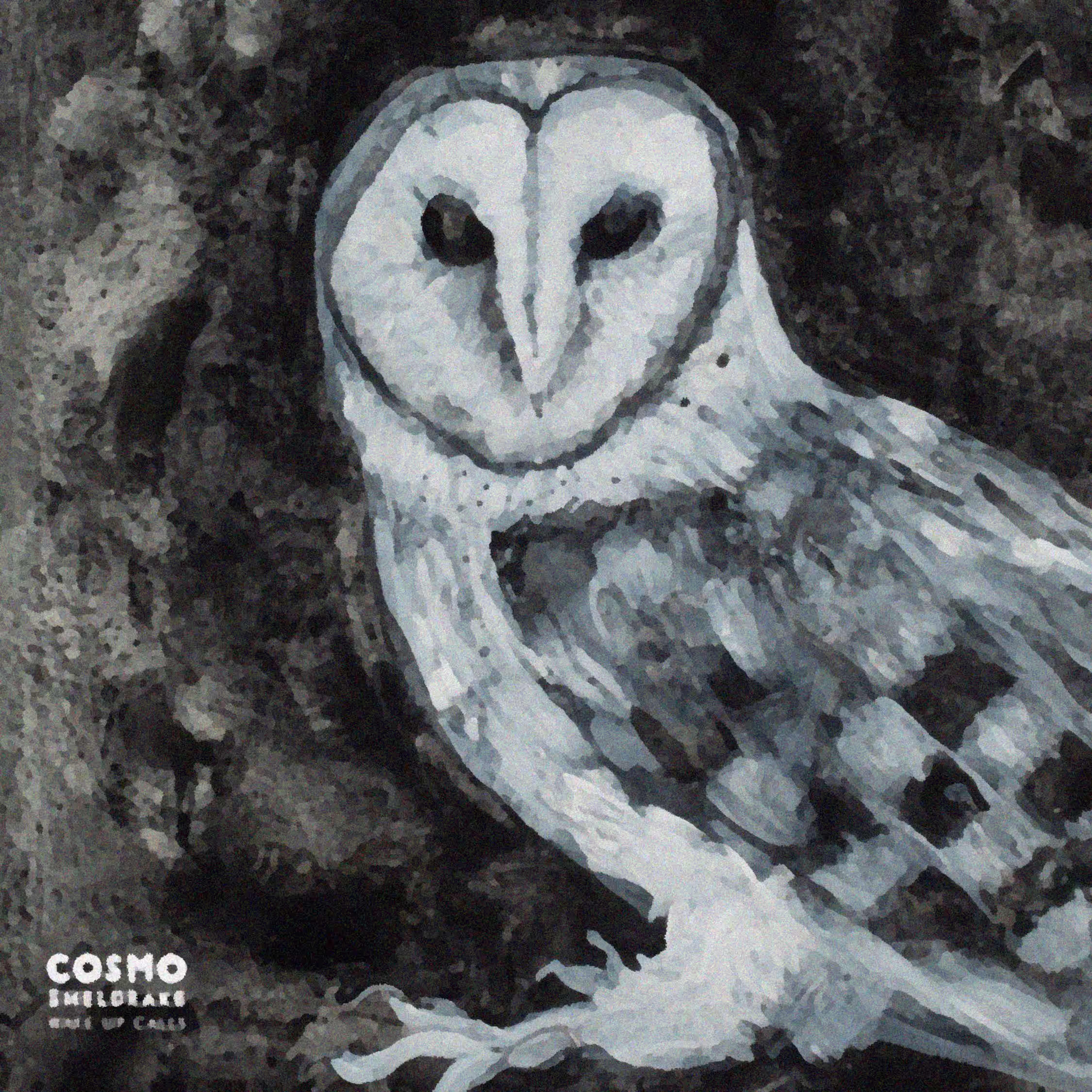 Wake Up Calls by Cosmo Sheldrake (2020)